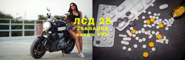спайс Аркадак