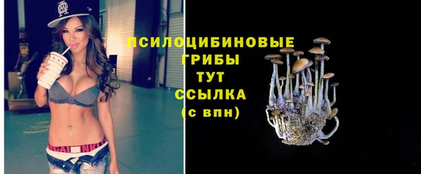 спайс Аркадак