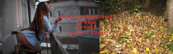 спайс Аркадак