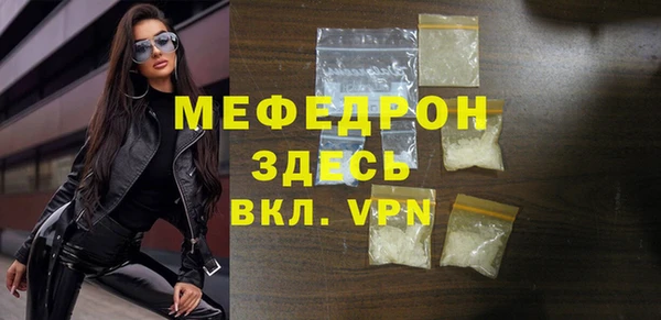 индика Елабуга