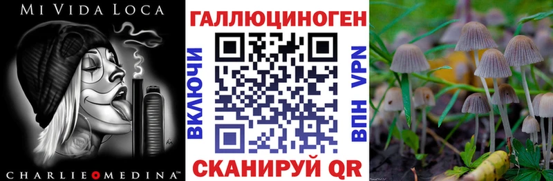 Псилоцибиновые грибы прущие грибы  Мариинский Посад 